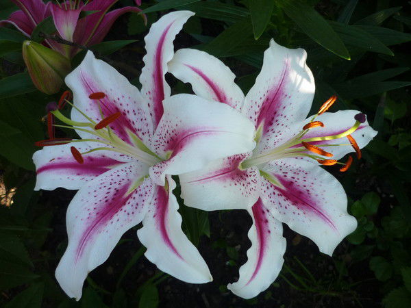 Людмила Юртаева