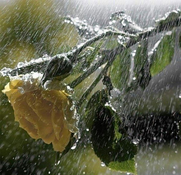 Нина Глазунова