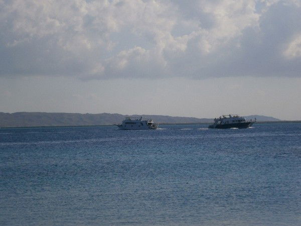 Константин Токарев