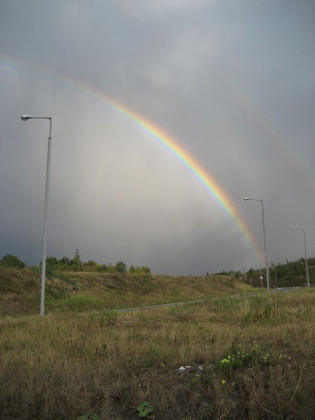 Альберт Гарифуллин