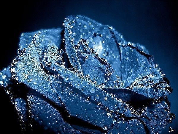 Анна Даровская