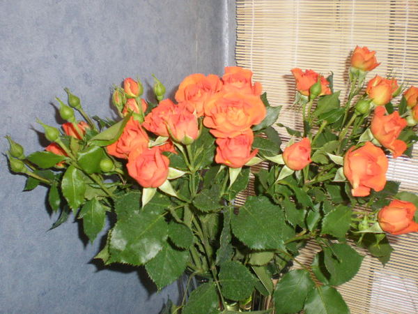 Светлана Цыбулевская (Куракова)