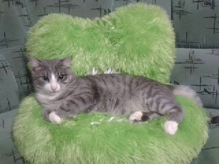 Иван Зайцев