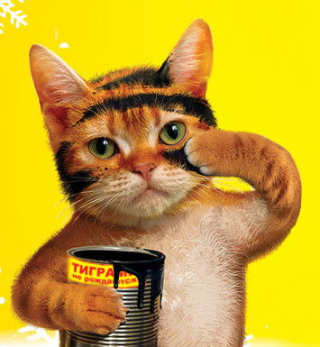 Анатолий Тян