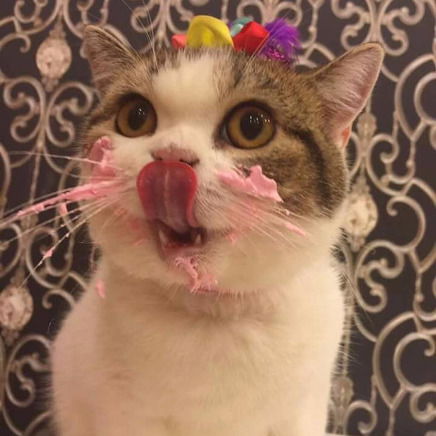 Катерина Михайлова