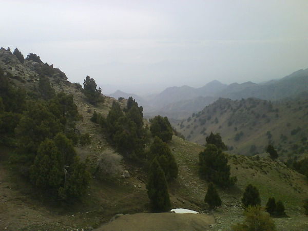 Маматкулов Сабиржан