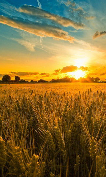 Aнтон Поздняков