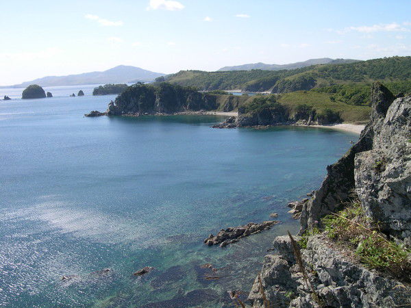 Андрей Кулик