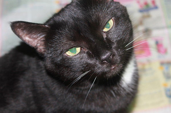 Шатунова Надежда