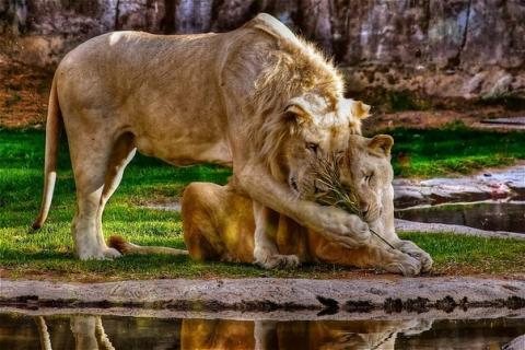 Ксения Щёголева