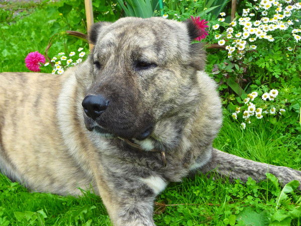 Орзу Наимов