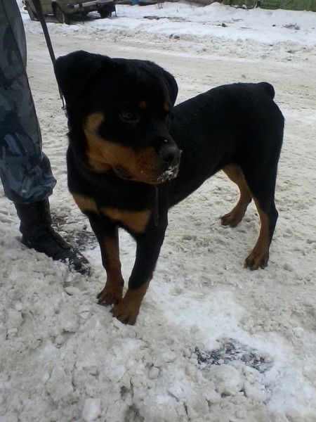 Надежда Назарова