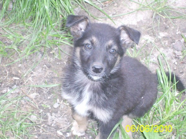 Ержан Мынжанов