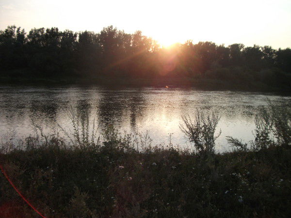 Лилия Королевична