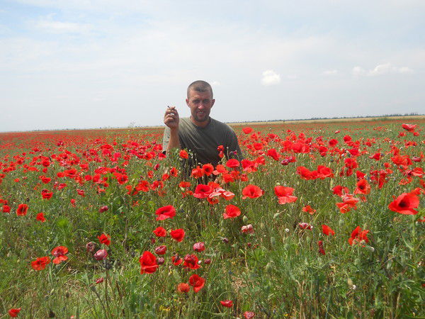 Александр Похвалитов