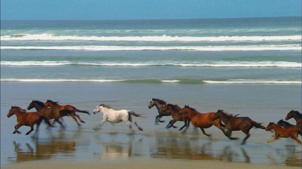 Азамат Абулфайзов