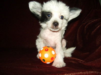 Наталья Ярош