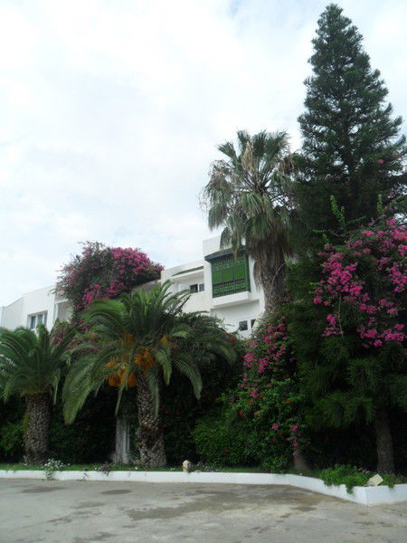 Виктория Гурвич