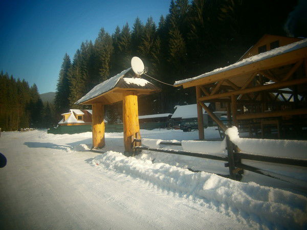 Володимир Мислик