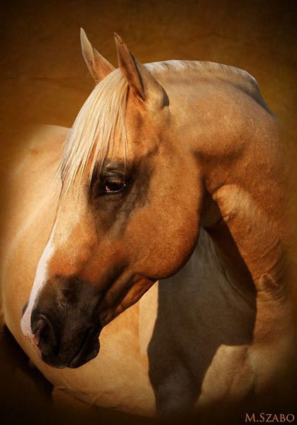 Альфия Абузарова