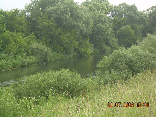 Андрей Севостьянович