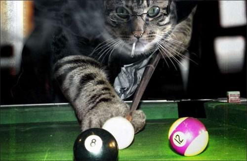 Андрей Радчиков