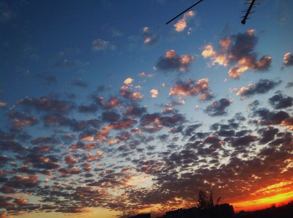 Лиана Леонова