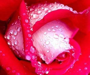 Бибигуль Бекмаганбетова