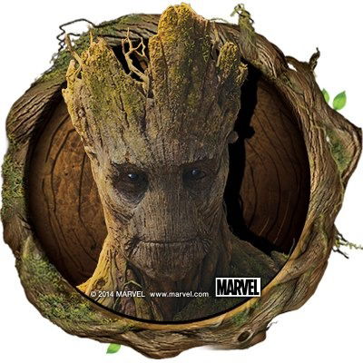 Владимир Набока