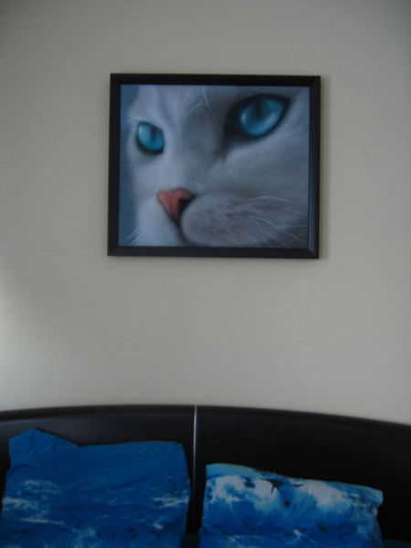 Евгений Адольшин