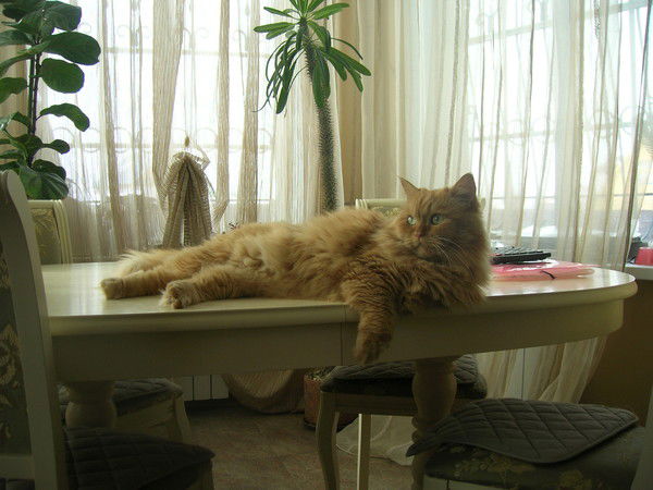 Гуля Иванова