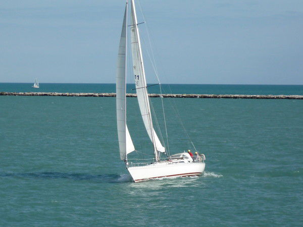 Елена Александрова