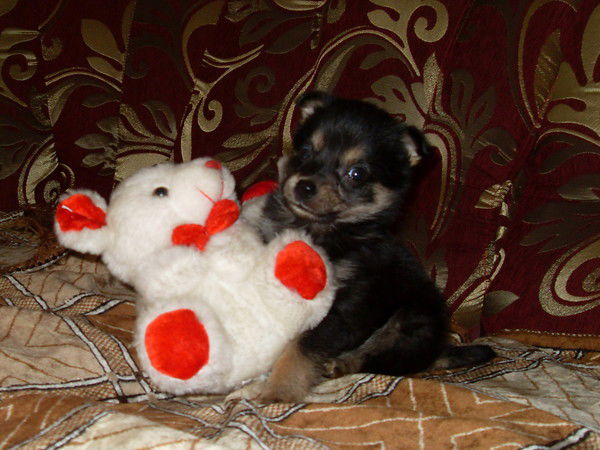 Татьяна Чудник