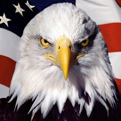 Искандер Низамиев