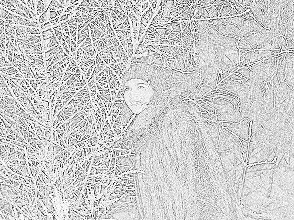 Елена Широкова