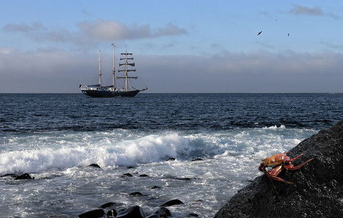 Юрий Сюткин