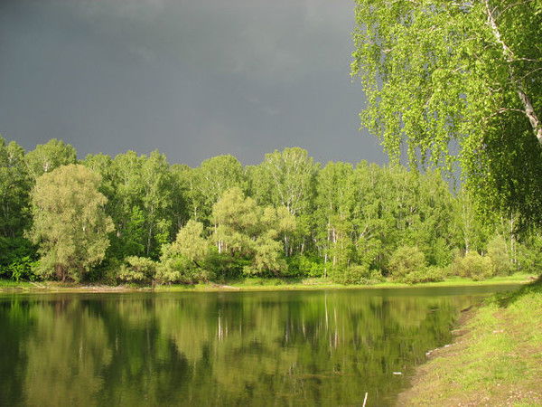 Ирина Голова