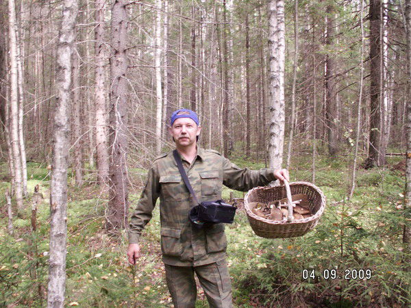 Александр Звонов