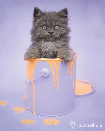 Юлия Борисова