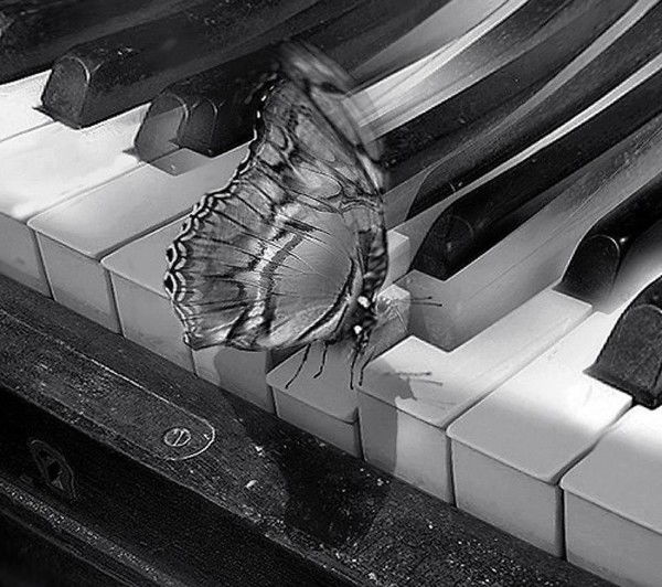 Андромеда 1