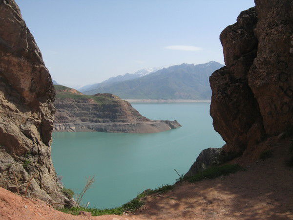 Денис Доминов