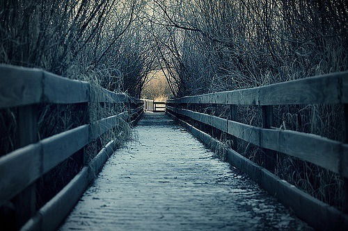 Наталья Шелковникова