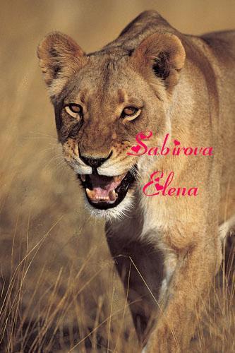 Елена Сабирова
