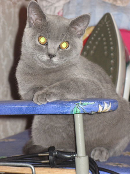 Ольга Шершук