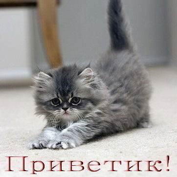 Настёна Банщикова