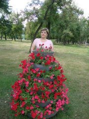 Елена Серикова