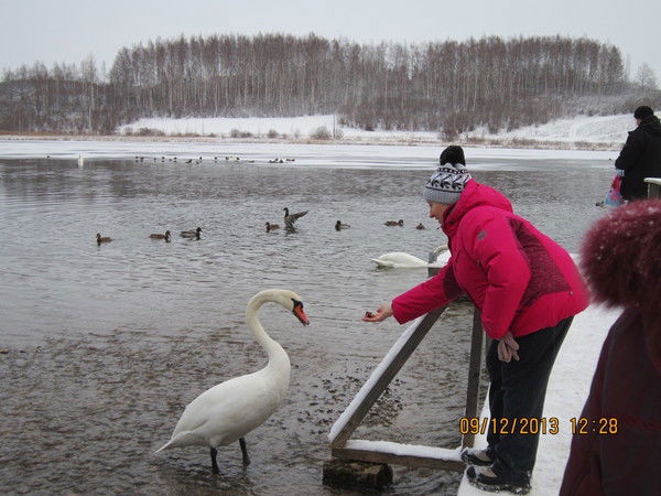 Наталия Бабенкова