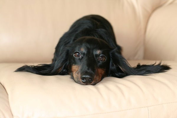 Ольга Забаева