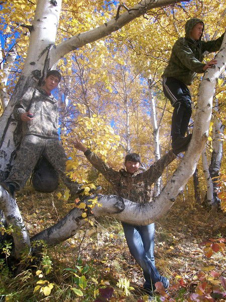 Дёсик Чекур