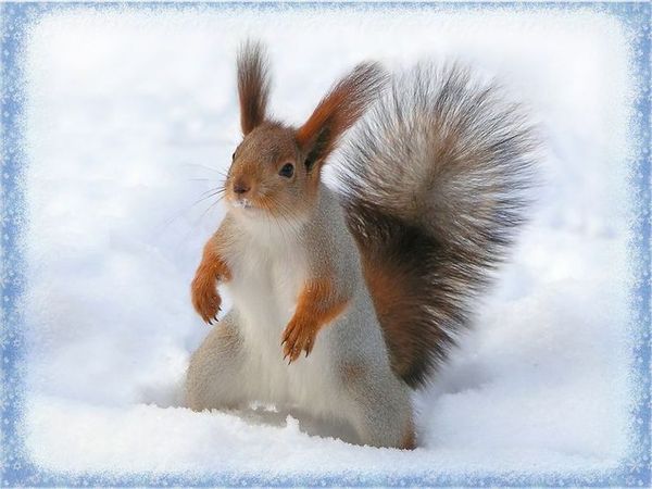 Ирина Родимченко